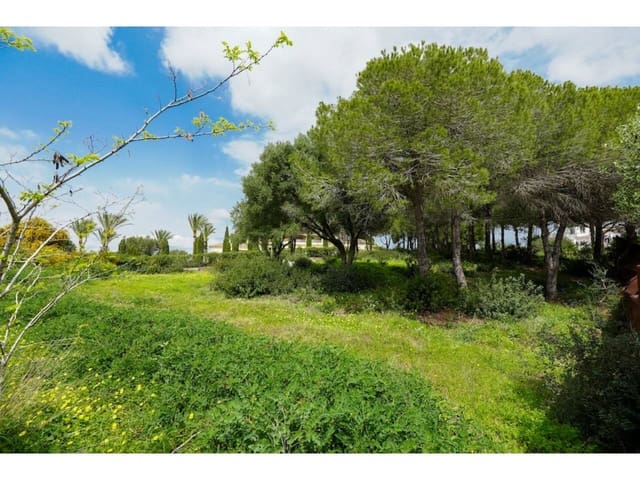 Terreno Não Urbanizado para venda em Sotogrande Alto, San Roque - 580 000 € (Ref: 8183606)