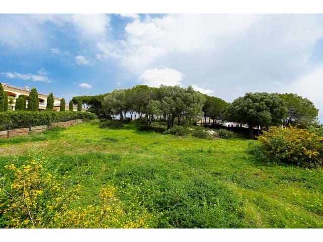 Terreno Não Urbanizado para venda em Sotogrande Alto, San Roque - 580 000 € (Ref: 8183606)