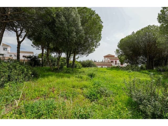 Terreno Não Urbanizado para venda em Sotogrande Alto, San Roque - 580 000 € (Ref: 8183606)