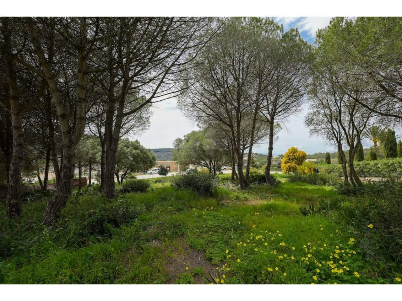 Grunde uden byggetilladelser til salg i Sotogrande - € 580.000 (Ref: 8183606)