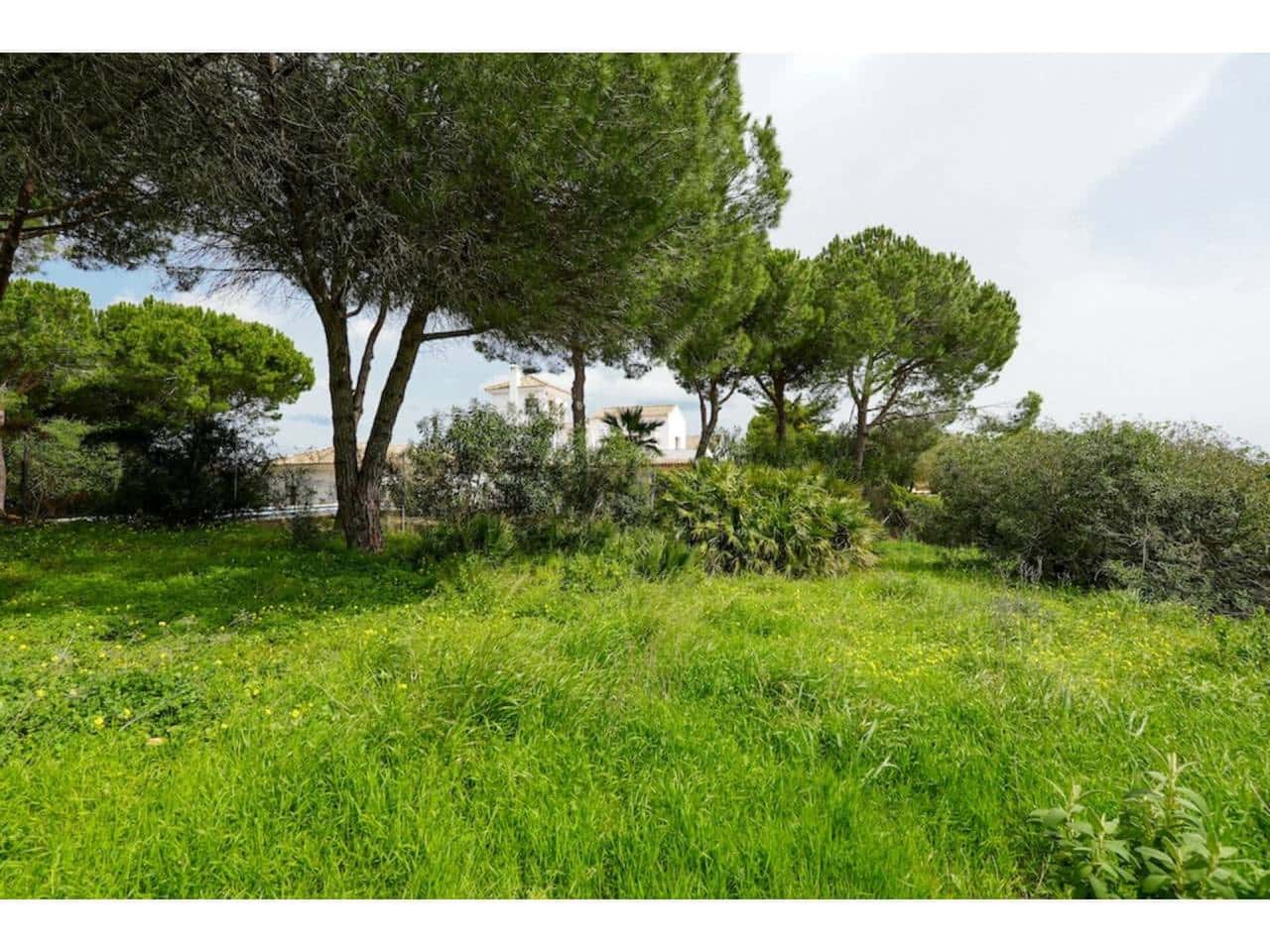 Grunde uden byggetilladelser til salg i Sotogrande - € 580.000 (Ref: 8183606)