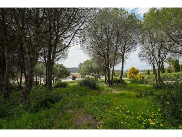 Terreno Não Urbanizado para venda em Sotogrande Alto, San Roque - 580 000 € (Ref: 8183606)