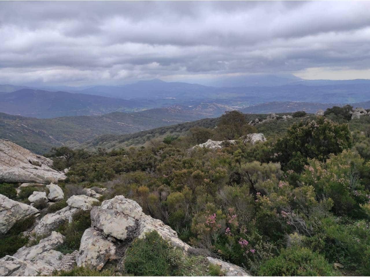 Grunde uden byggetilladelser til salg i Jimena de la Frontera - € 4.300.000 (Ref: 8590183)