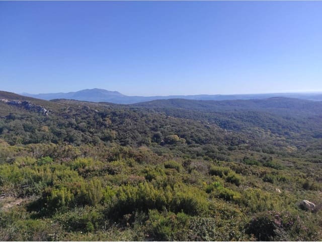 Ubebygd land til salgs i Jimena de la Frontera - € 4 300 000 (Ref: 8590183)