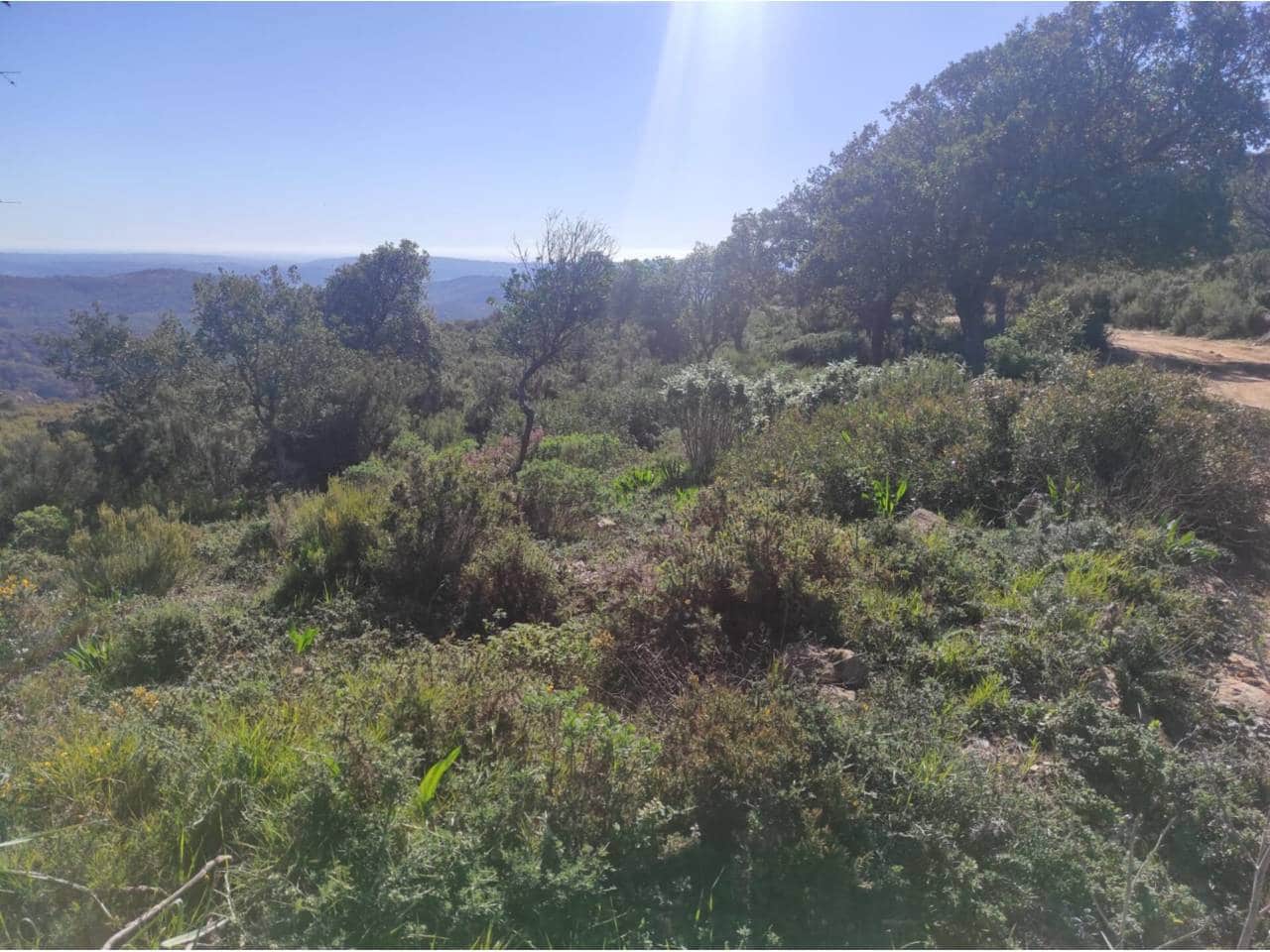 Grunde uden byggetilladelser til salg i Jimena de la Frontera - € 4.300.000 (Ref: 8590183)