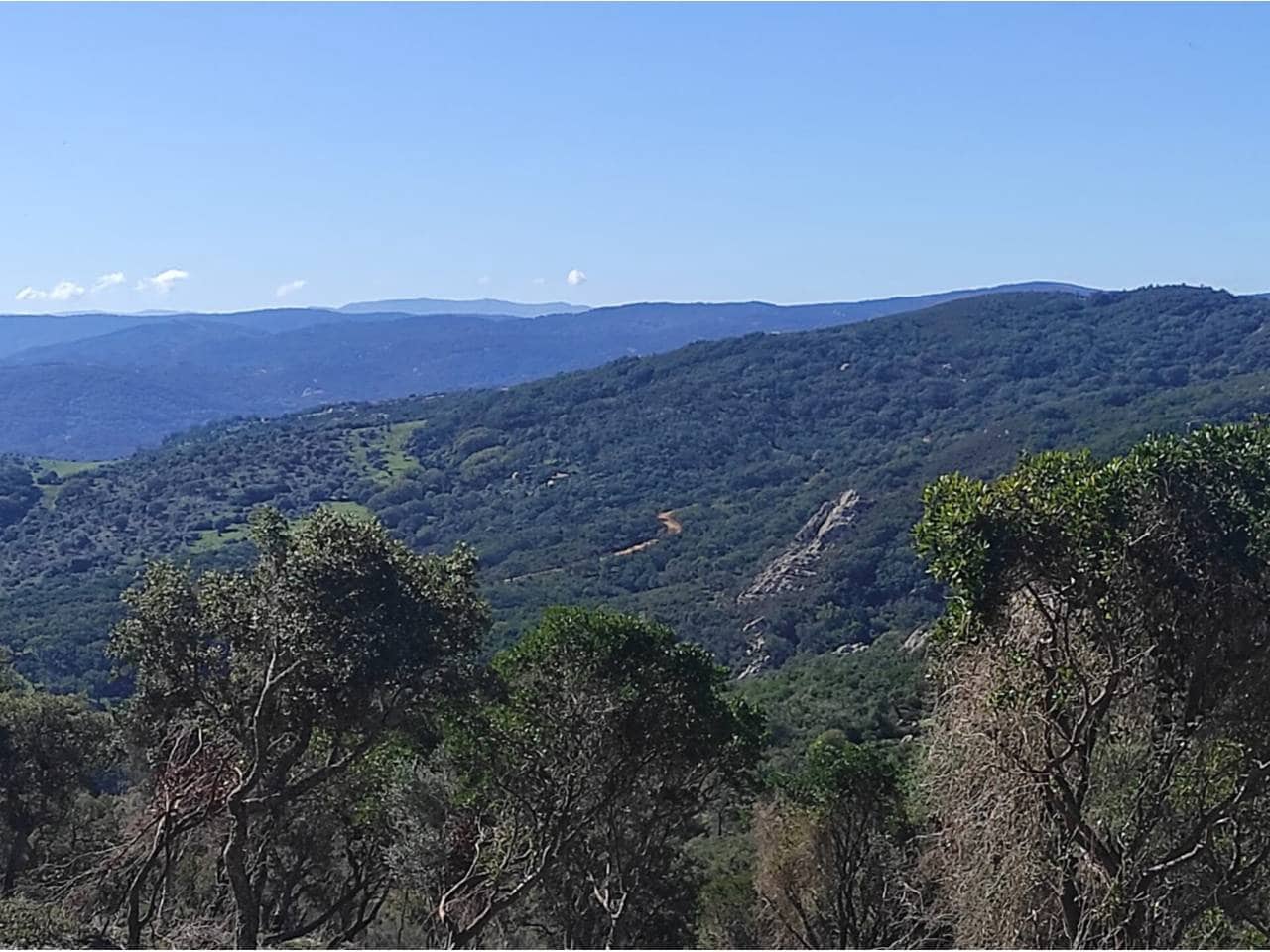 Grunde uden byggetilladelser til salg i Jimena de la Frontera - € 4.300.000 (Ref: 8590183)