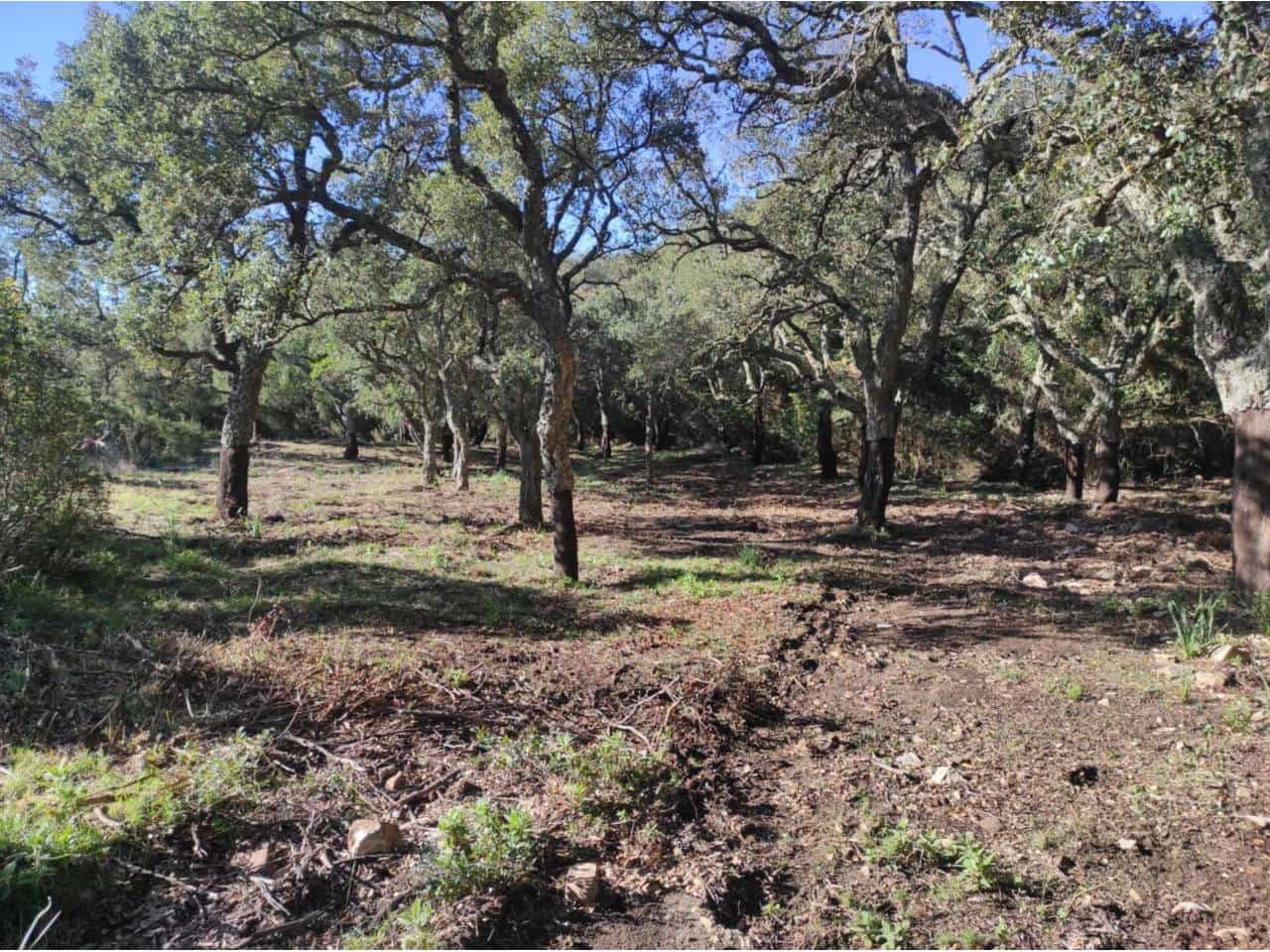 Grunde uden byggetilladelser til salg i Jimena de la Frontera - € 4.300.000 (Ref: 8590183)