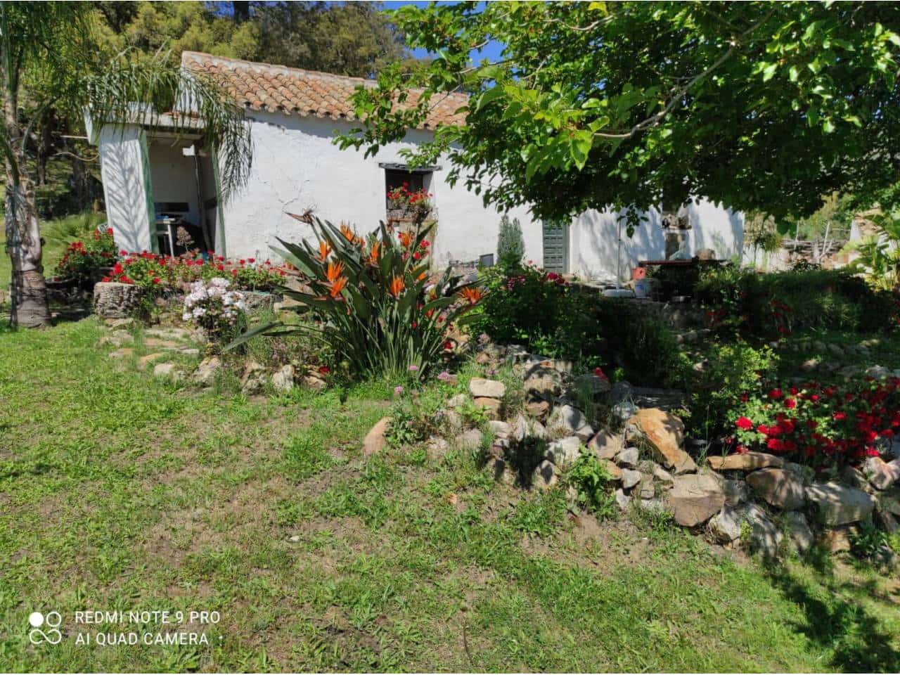 Grunde uden byggetilladelser til salg i Jimena de la Frontera - € 4.300.000 (Ref: 8590183)