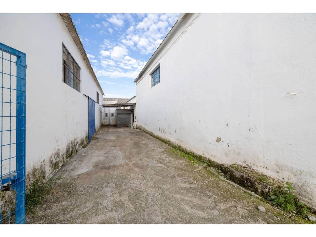 Erhverv til salg i Algeciras - € 435.000 (Ref: 8655950)