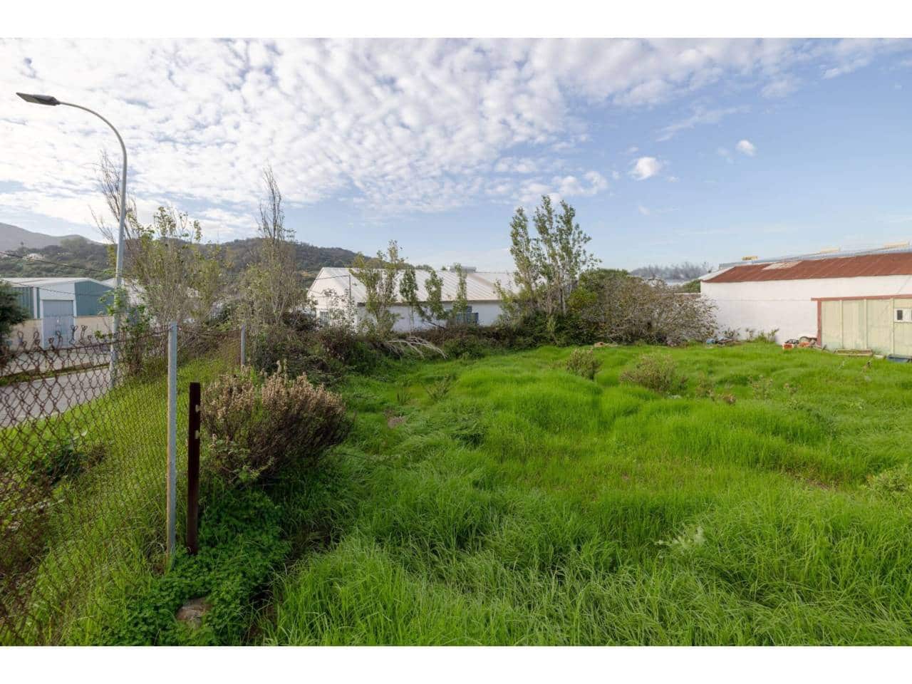 Erhverv til salg i Algeciras - € 435.000 (Ref: 8655950)