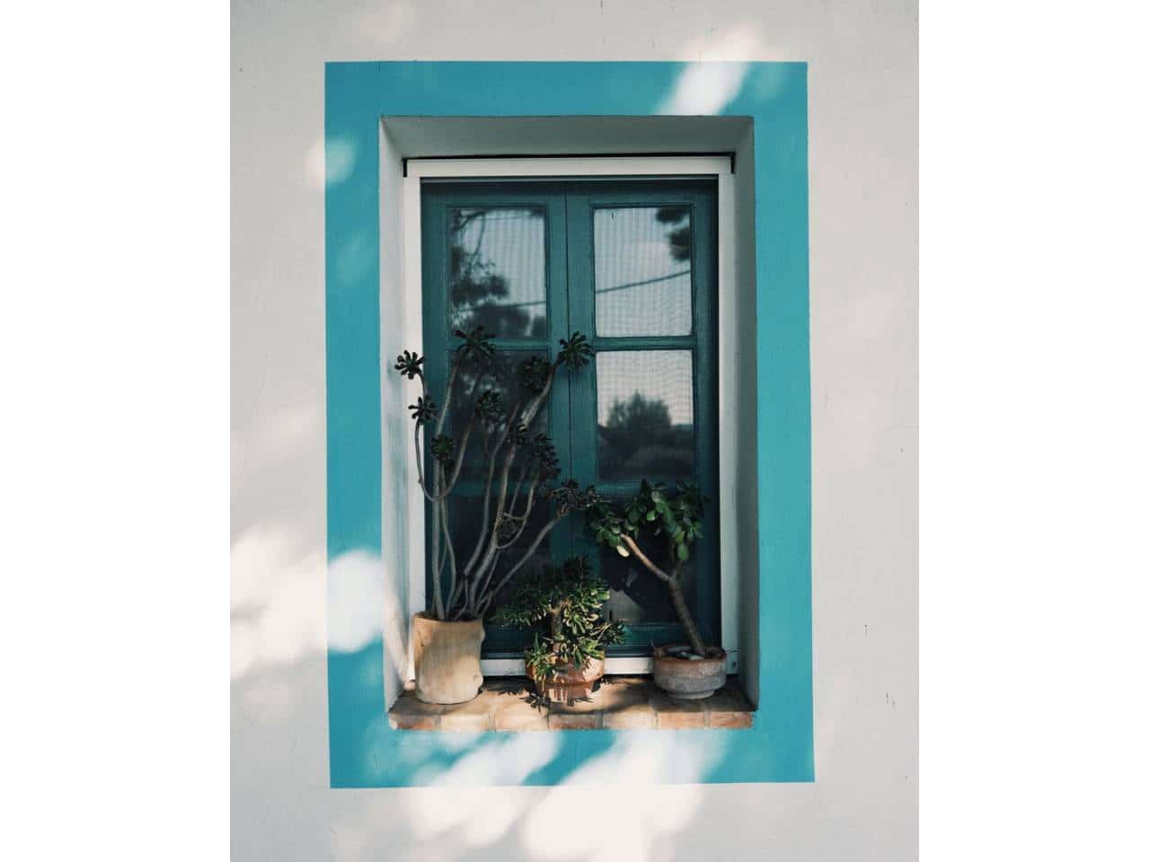 12 soveværelse Finca/Landehus til salg i Vejer de la Frontera med swimmingpool - € 990.000 (Ref: 8805616)