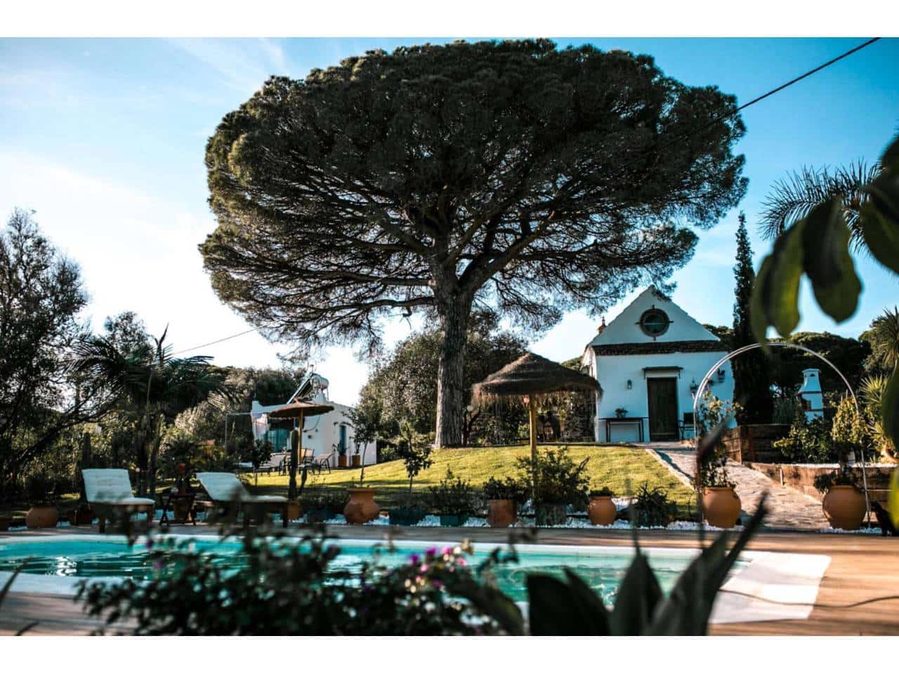 12 soveværelse Finca/Landehus til salg i Vejer de la Frontera med swimmingpool - € 990.000 (Ref: 8805616)