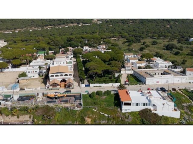 5 makuuhuone Huvila myytävänä paikassa Los Caños de Meca, Barbate mukana uima-altaan 
autotalli - 1 300 000 € (Ref: 8840587)