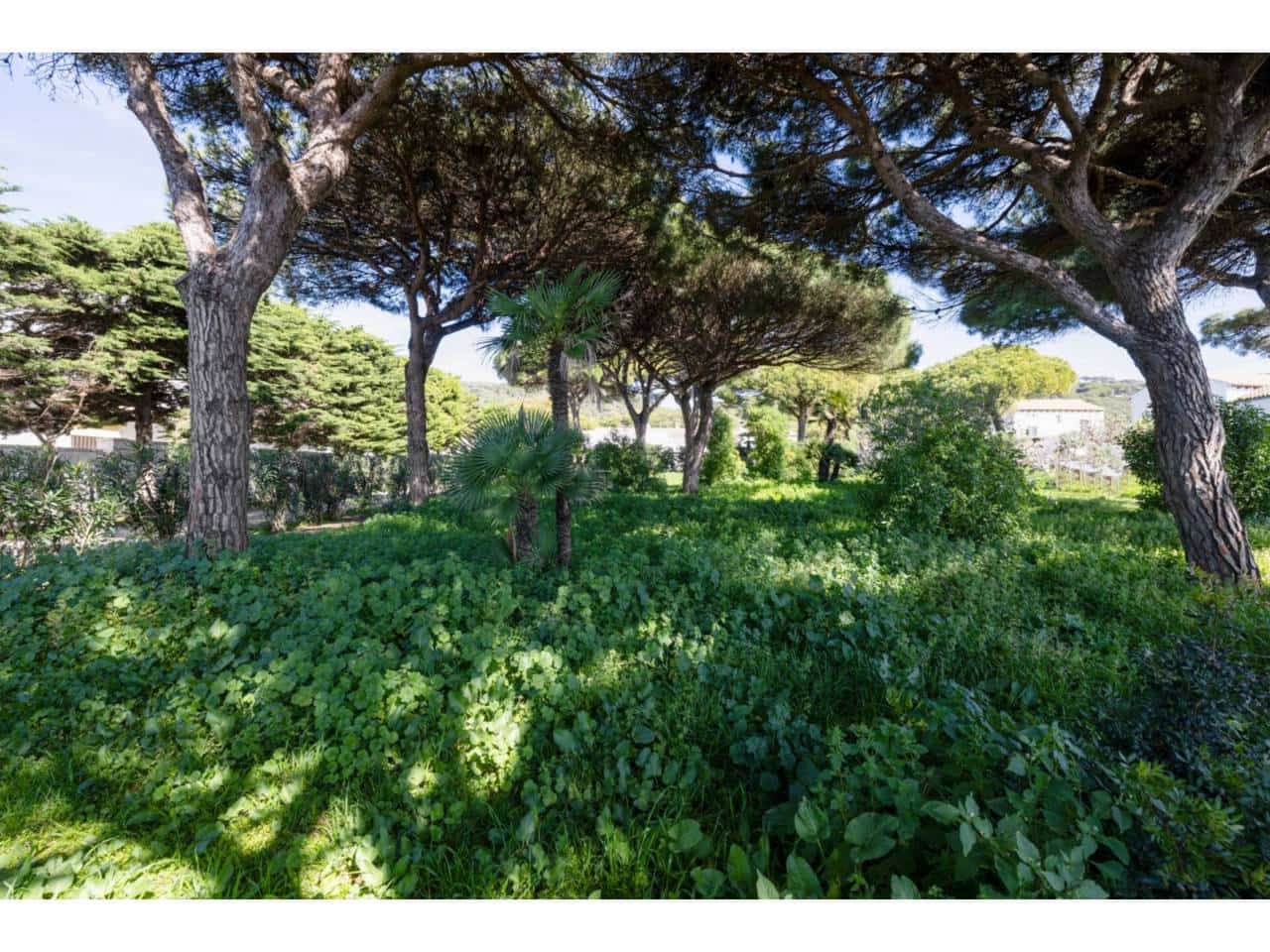 5 soveværelse Villa til salg i Los Canos de Meca med swimmingpool garage - € 1.300.000 (Ref: 8840587)