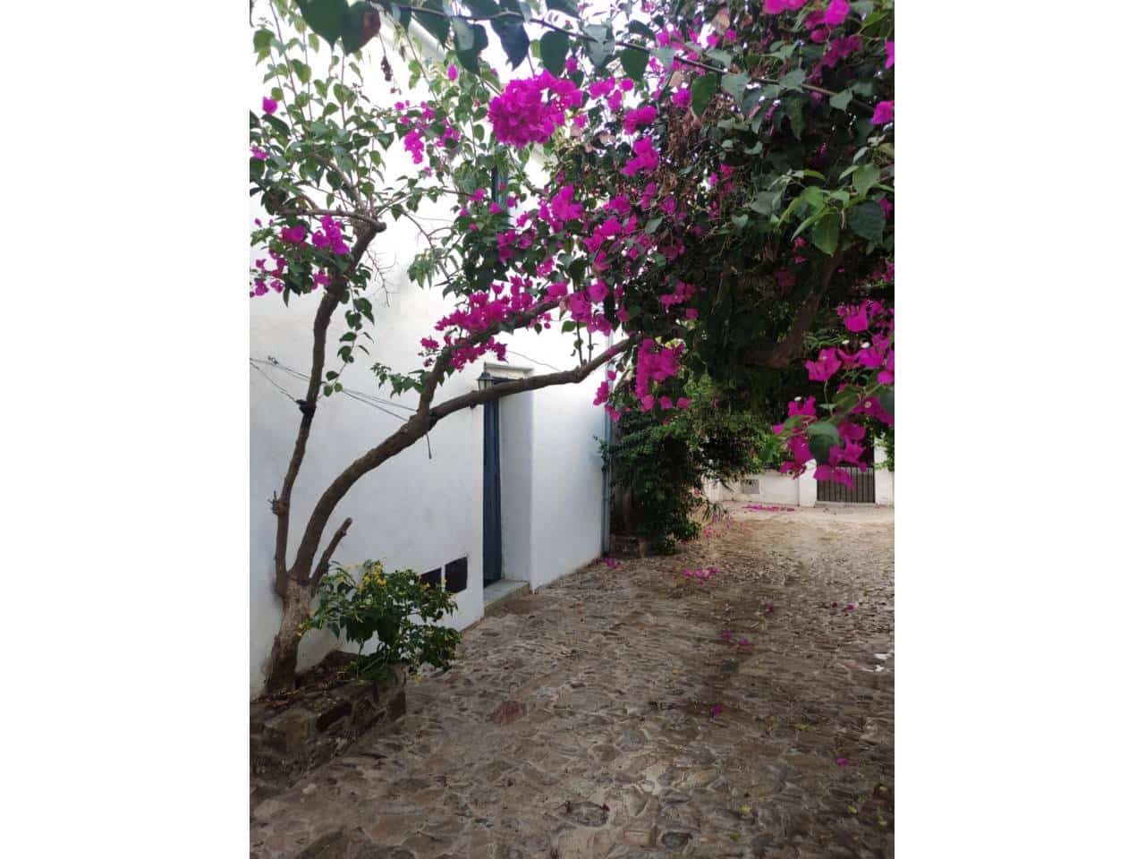 1 soverom Finca/Herregård til salgs i Castellar de la Frontera - € 300 000 (Ref: 8854481)