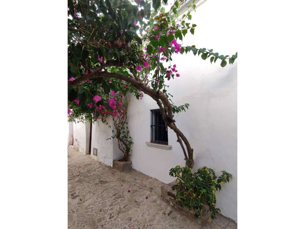 1 soverom Finca/Herregård til salgs i Castellar de la Frontera - € 300 000 (Ref: 8854481)