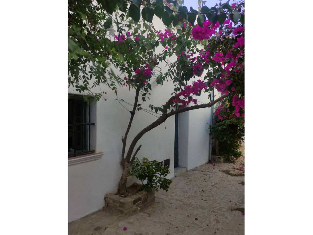 1 soverom Finca/Herregård til salgs i Castellar de la Frontera - € 300 000 (Ref: 8854481)