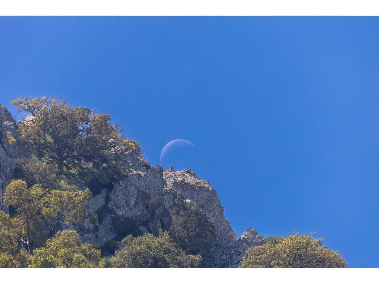 Finca/Landehus til salg i Tarifa - € 700.000 (Ref: 8956540)