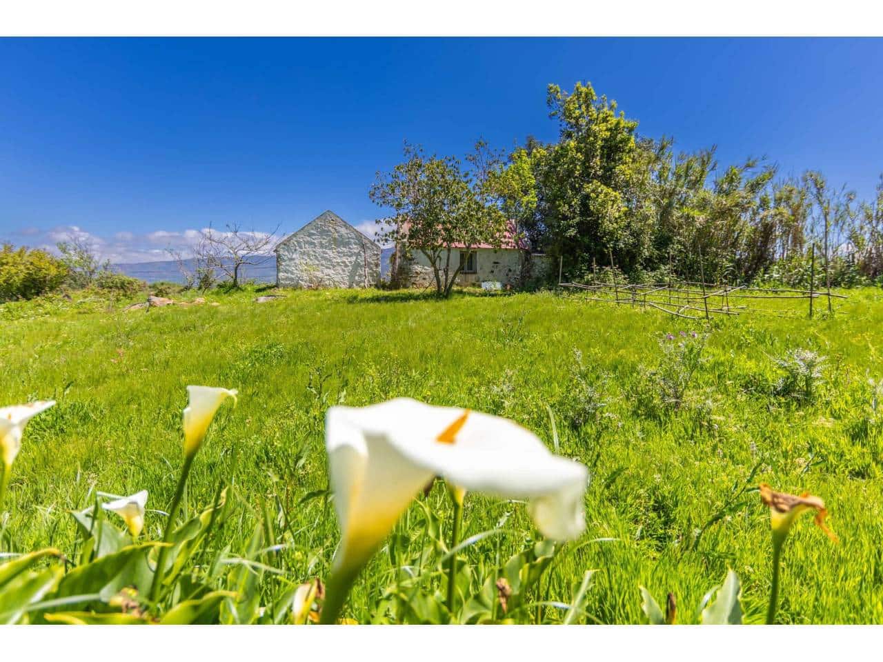 Finca/Landehus til salg i Tarifa - € 700.000 (Ref: 8956540)