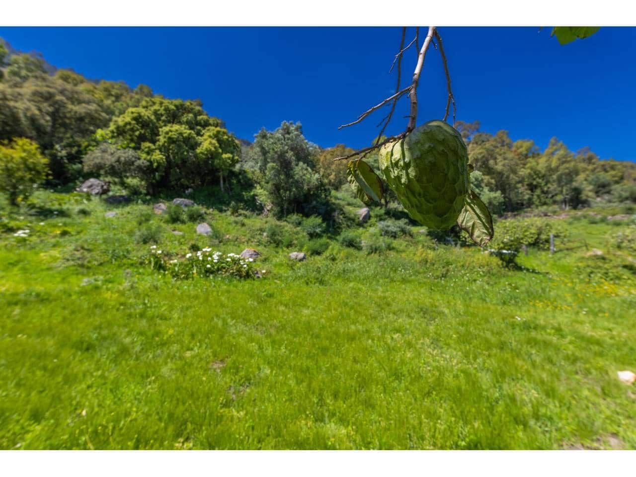 Finca/Landehus til salg i Tarifa - € 700.000 (Ref: 8956540)