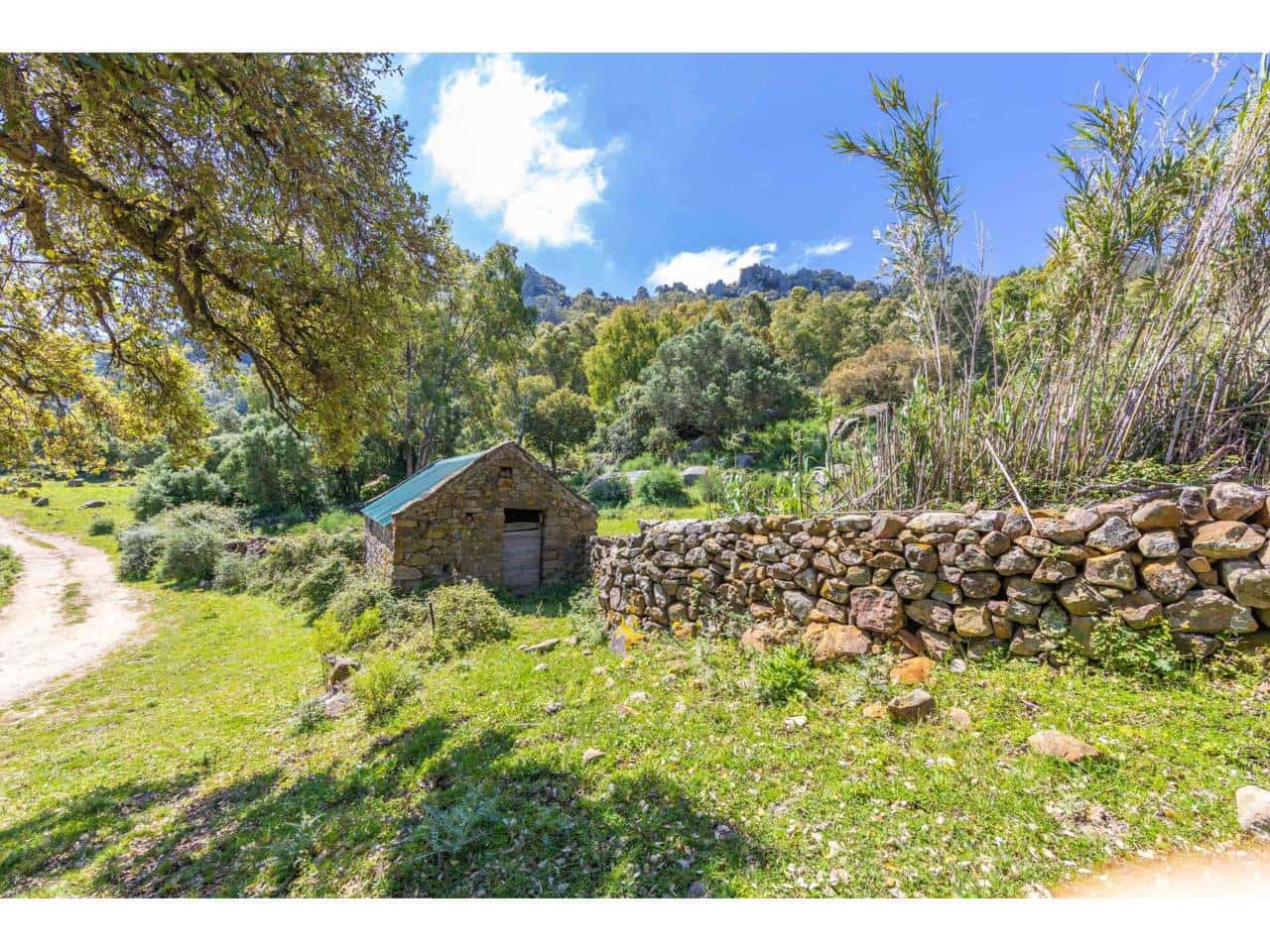 Finca/Landehus til salg i Tarifa - € 700.000 (Ref: 8956540)