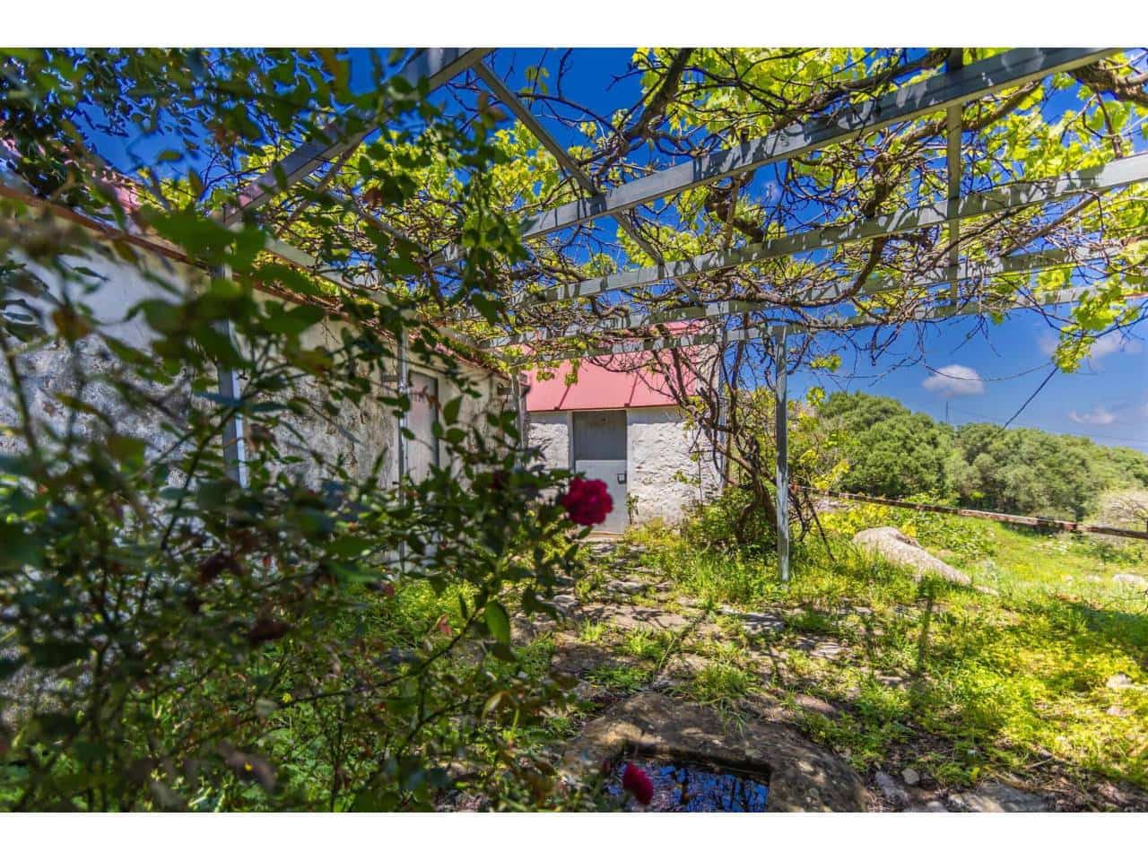 Finca/Landehus til salg i Tarifa - € 700.000 (Ref: 8956540)