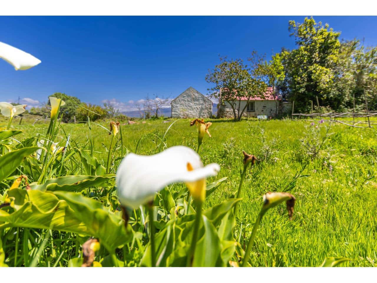 Finca/Landehus til salg i Tarifa - € 700.000 (Ref: 8956540)