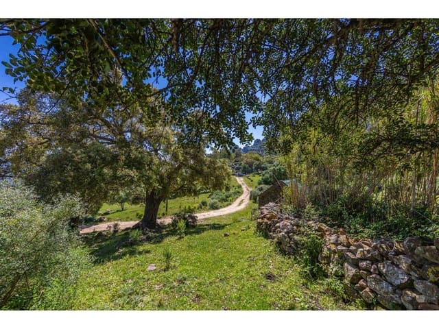 Finca/Landehus til salg i Tarifa - € 700.000 (Ref: 8956540)