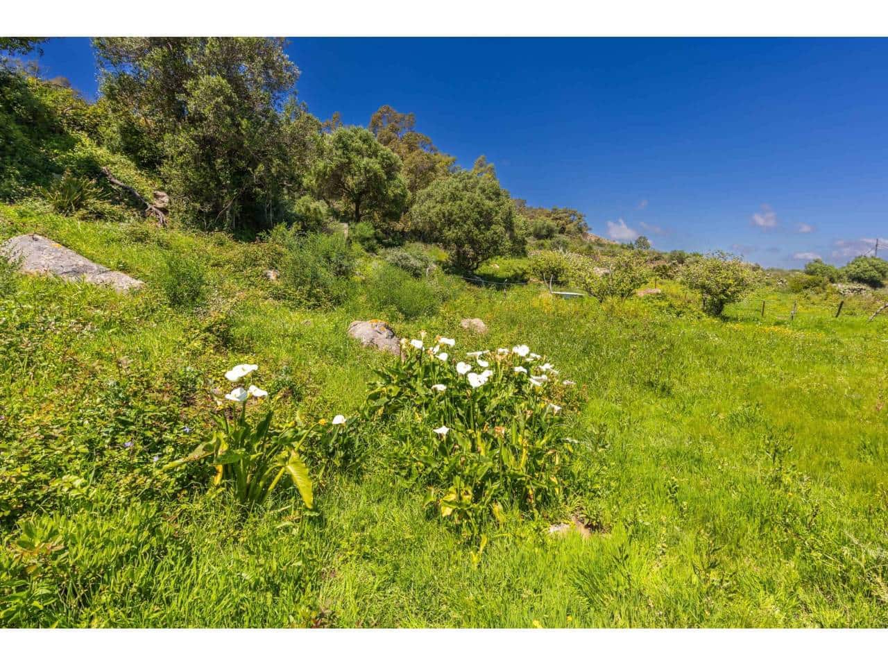 Finca/Landehus til salg i Tarifa - € 700.000 (Ref: 8956540)