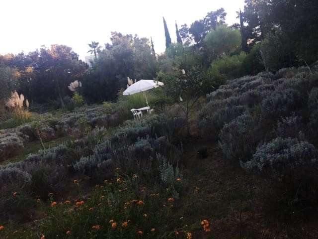 Grunde uden byggetilladelser til salg i Sotogrande, San Roque - € 895.000 (Ref: 9033841)