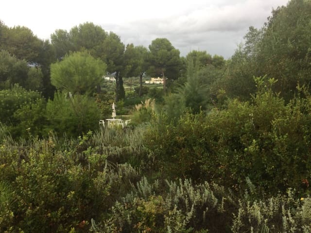 Grunde uden byggetilladelser til salg i Sotogrande, San Roque - € 895.000 (Ref: 9033841)