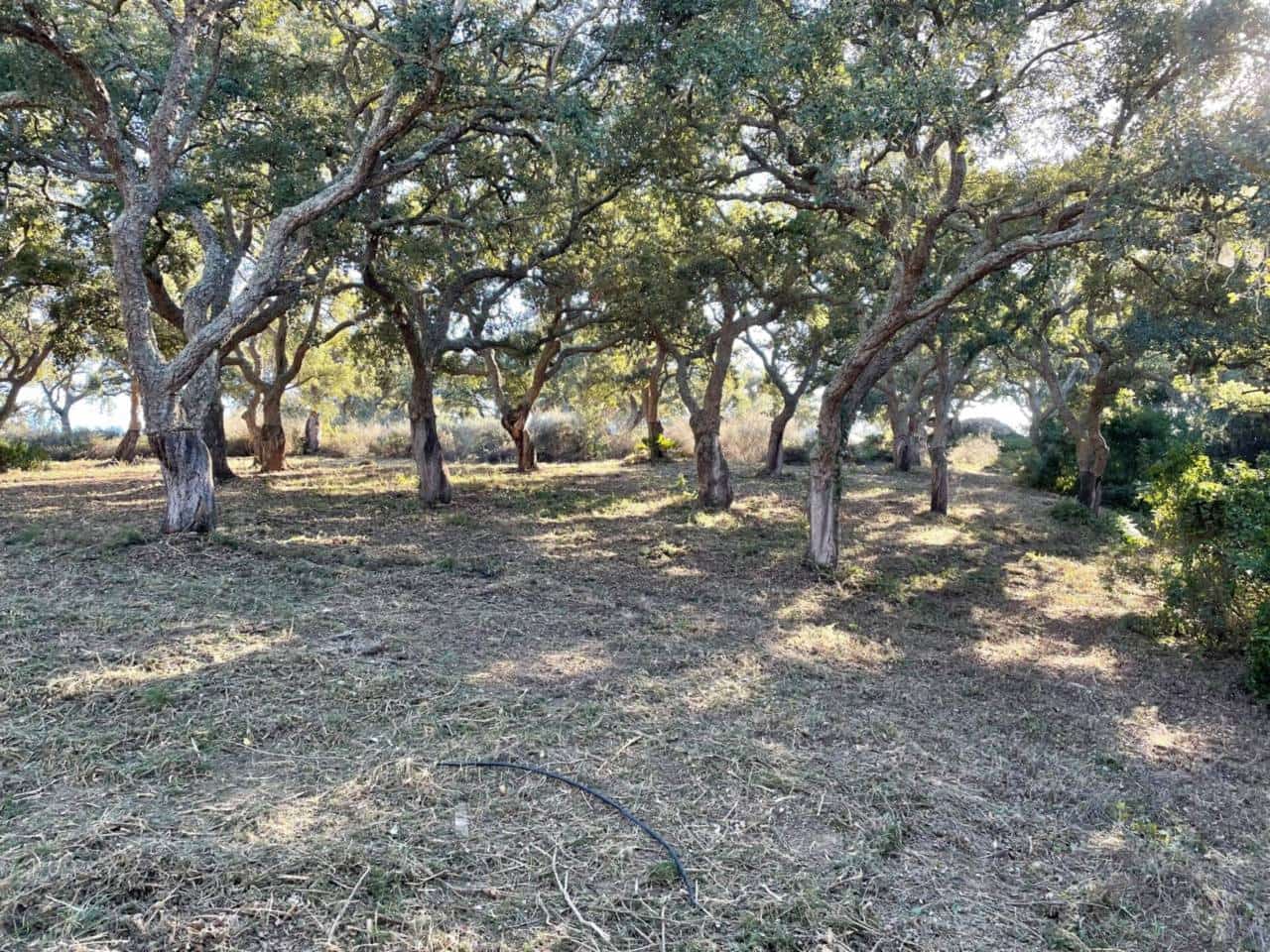 Grunde uden byggetilladelser til salg i Sotogrande - € 550.000 (Ref: 9187892)