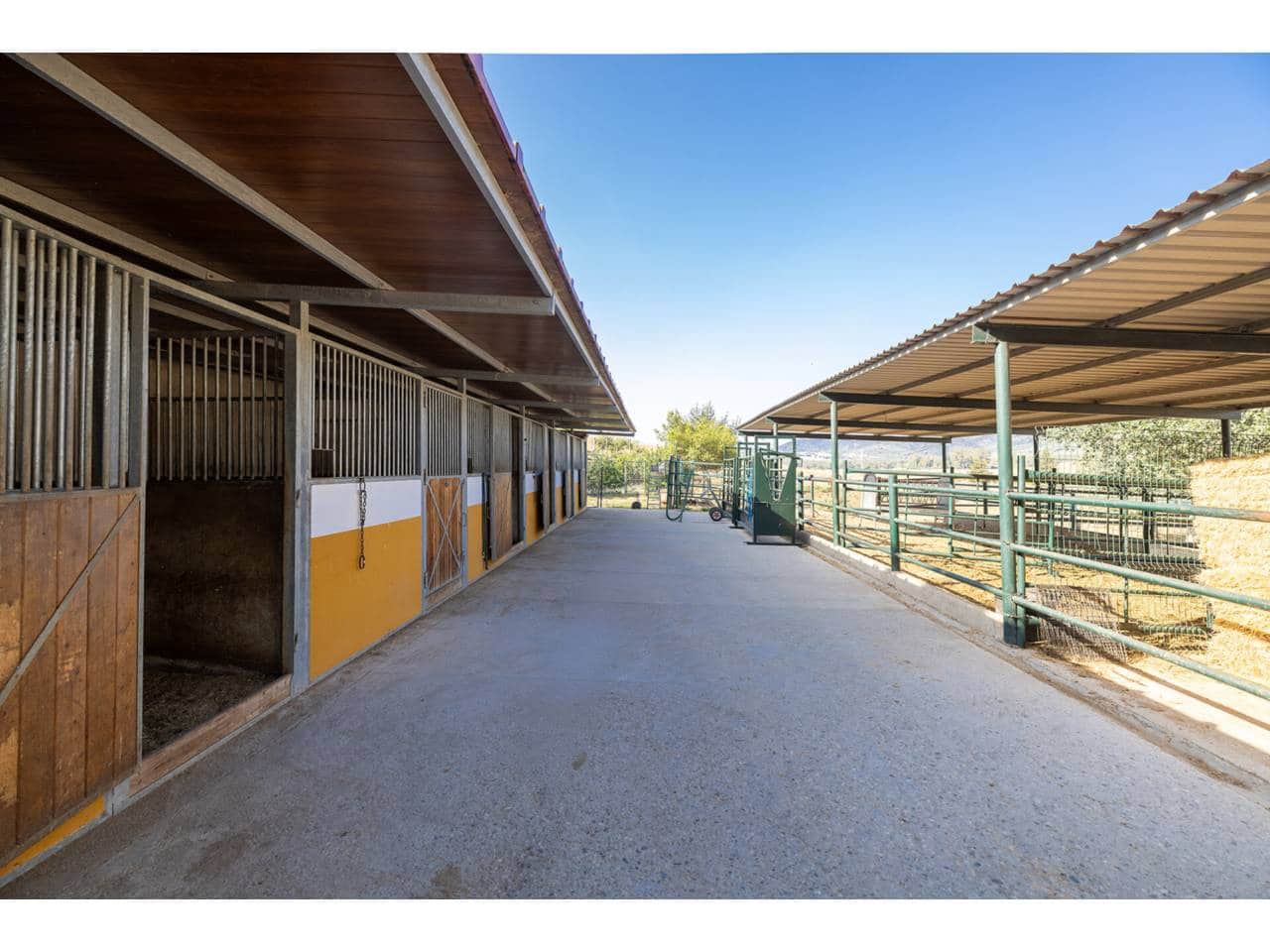 5 sovrum Finca/Hus på landet till salu i Marchenilla - 1 800 000 € (Ref: 9187893)