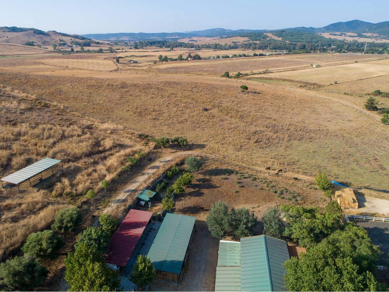 5 sovrum Finca/Hus på landet till salu i Marchenilla - 1 800 000 € (Ref: 9187893)