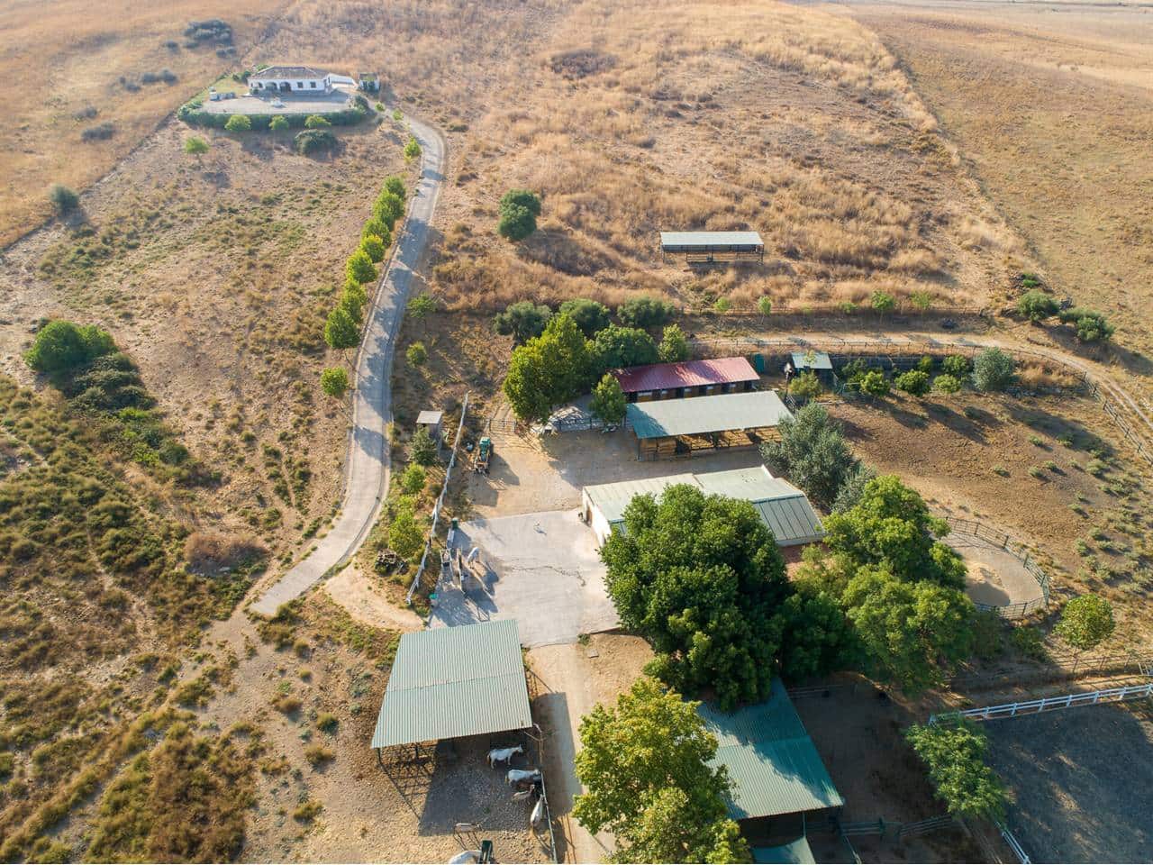 5 sovrum Finca/Hus på landet till salu i Marchenilla - 1 800 000 € (Ref: 9187893)