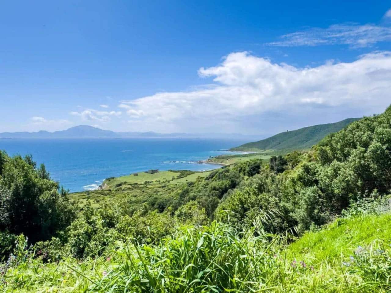 4 camera da letto Villa in vendita in Algeciras con piscina garage - 895.000 € (Rif: 9529503)