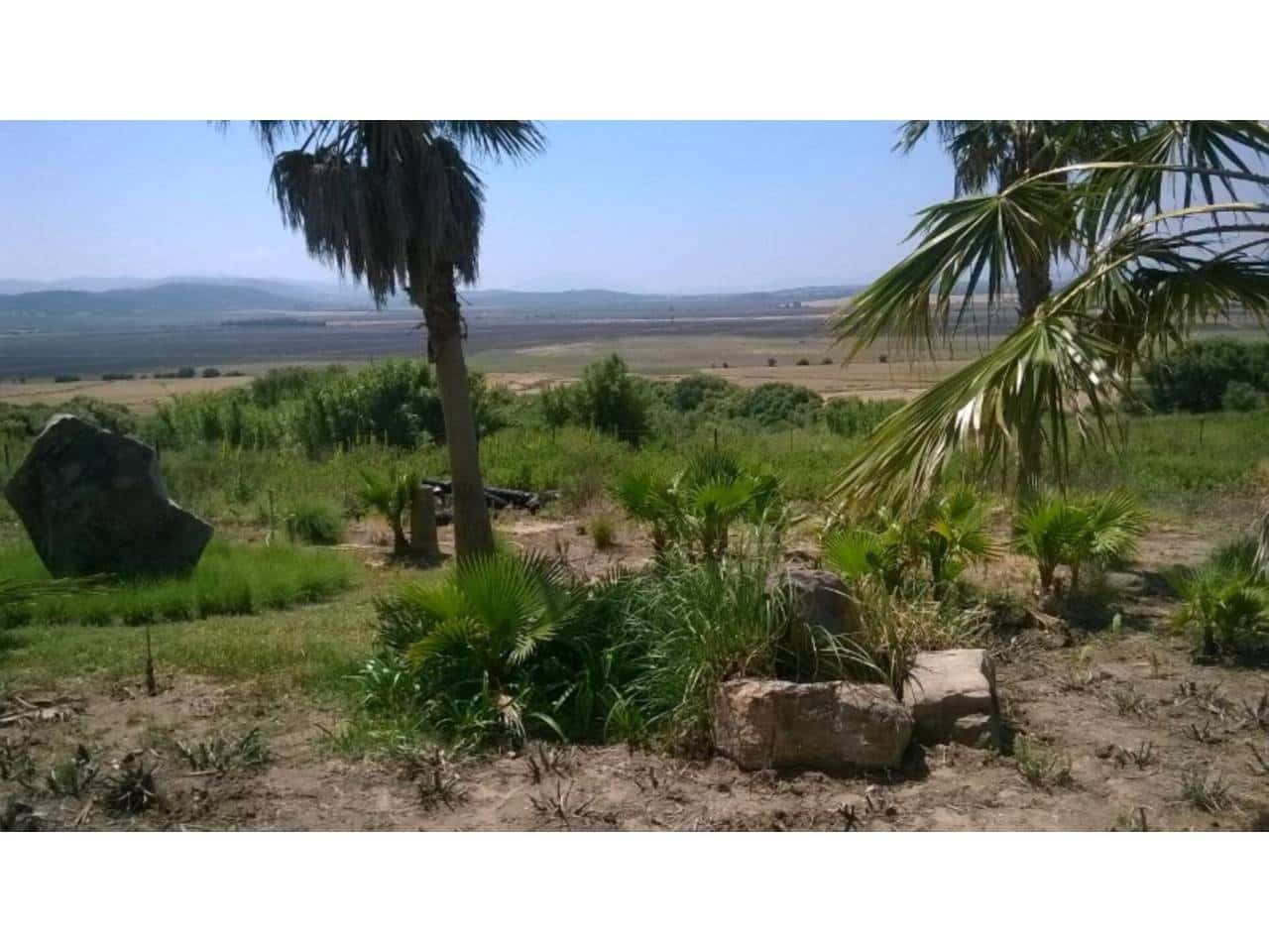 3 bedroom Villa for sale in Benalup with pool garage - € 520,000 (Ref: 9550514)