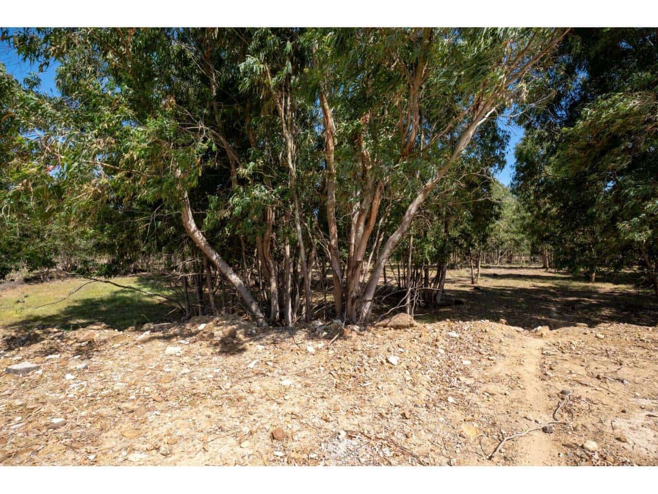 Undeveloped Land for sale in La Linea de la Concepcion - € 16,000,000 (Ref: 9833168)
