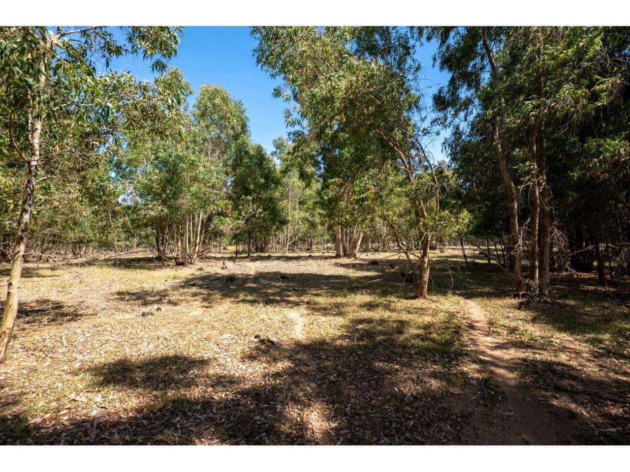 Undeveloped Land for sale in La Linea de la Concepcion - € 16,000,000 (Ref: 9833168)