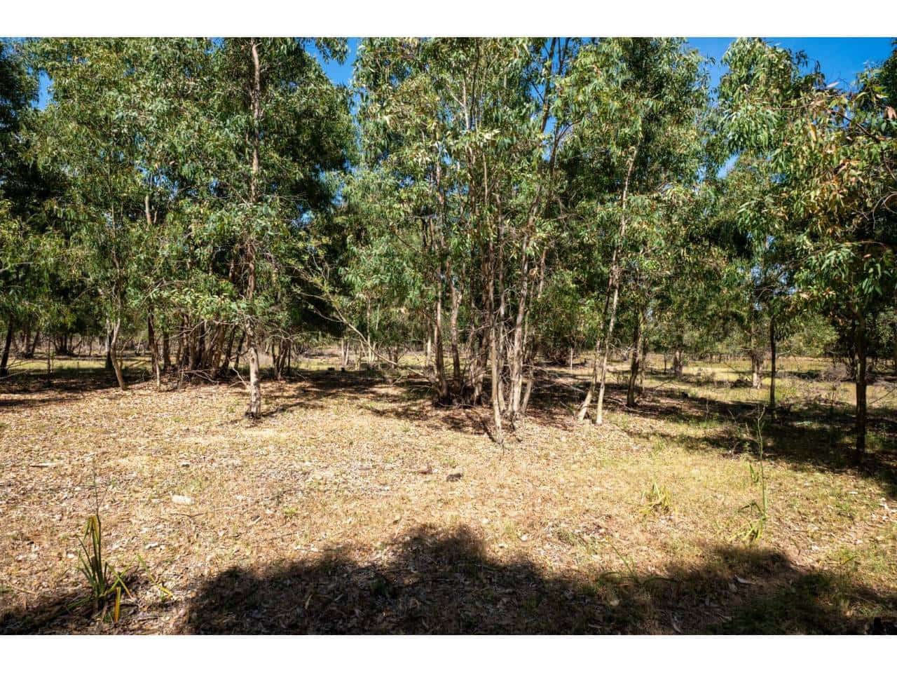 Undeveloped Land for sale in La Linea de la Concepcion - € 16,000,000 (Ref: 9833168)