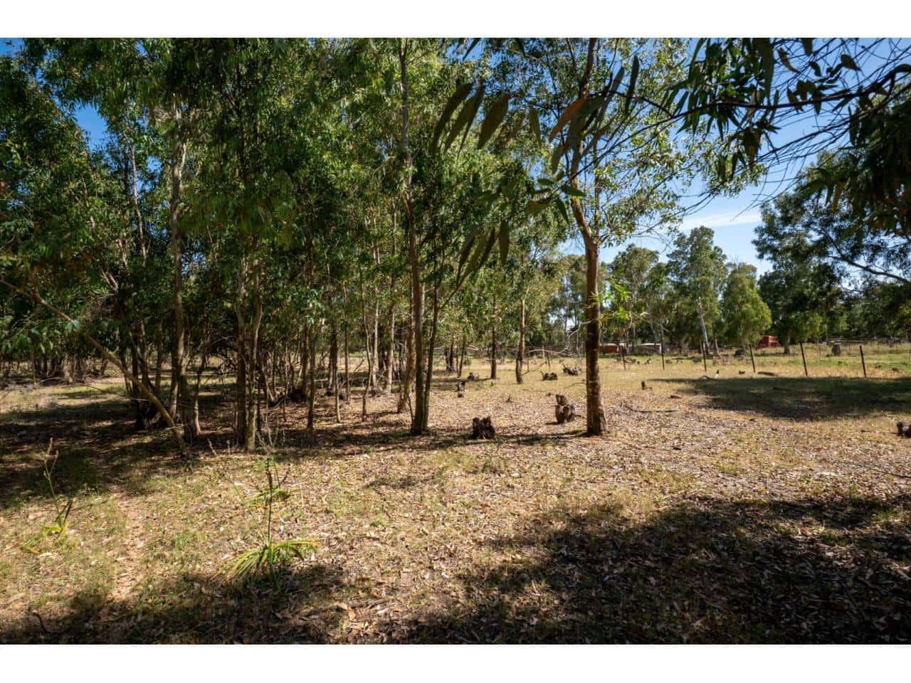 Undeveloped Land for sale in La Linea de la Concepcion - € 16,000,000 (Ref: 9833168)