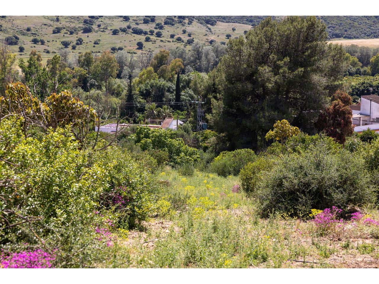 3 chambre Finca/Maison de Campagne à vendre à San Roque avec garage - 600 000 € (Ref: 9868122)