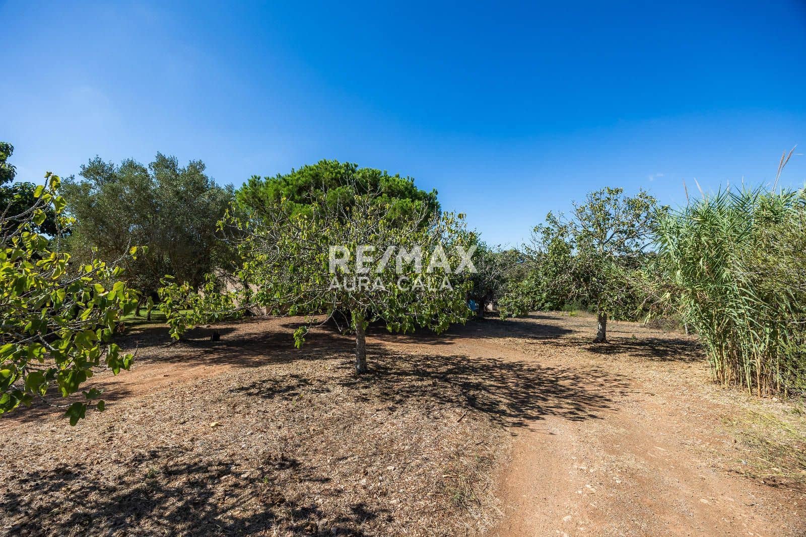 3 Zimmer Villa zu verkaufen in Manacor mit Garage - 715.000 € (Ref: 10041900)