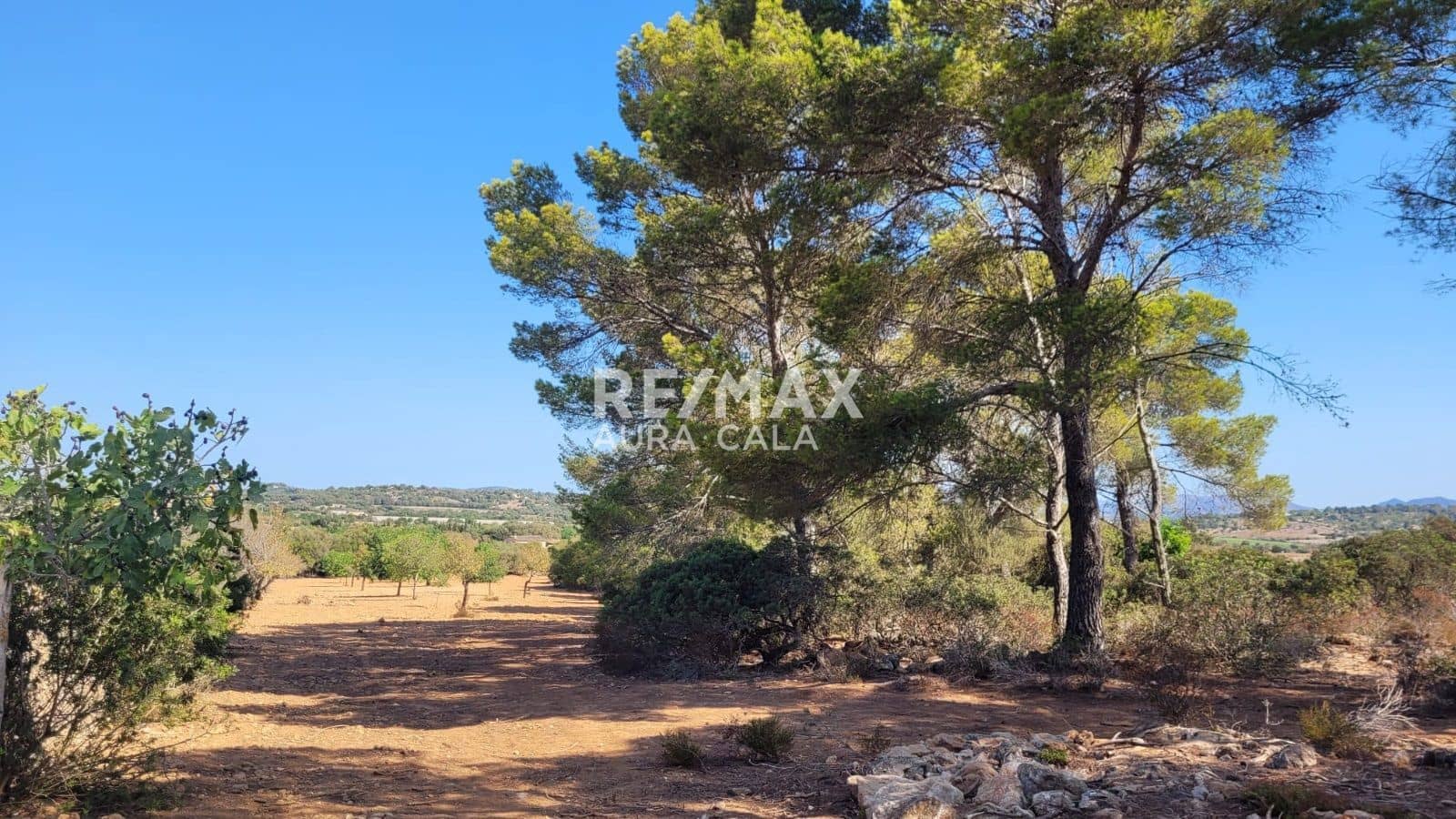 Building Plot for sale in Manacor - € 390,000 (Ref: 9456566)