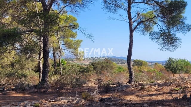 Building Plot for sale in Manacor - € 390,000 (Ref: 9456566)