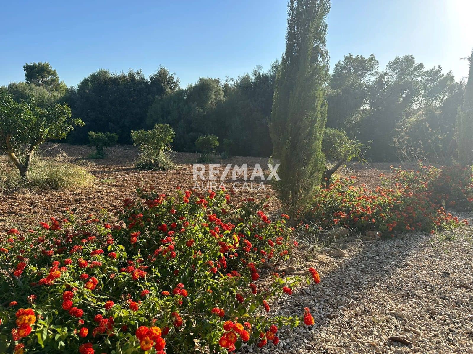 Chalet de 3 habitaciones en Sant Llorenç des Cardassar en alquiler - 2.600 € (Ref: 9892712)