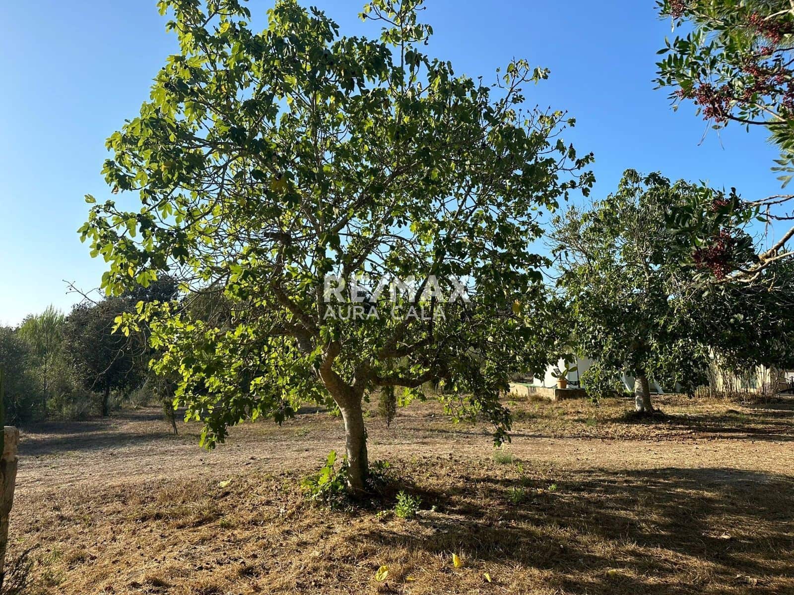 Chalet de 3 habitaciones en Sant Llorenç des Cardassar en alquiler - 2.600 € (Ref: 9892712)