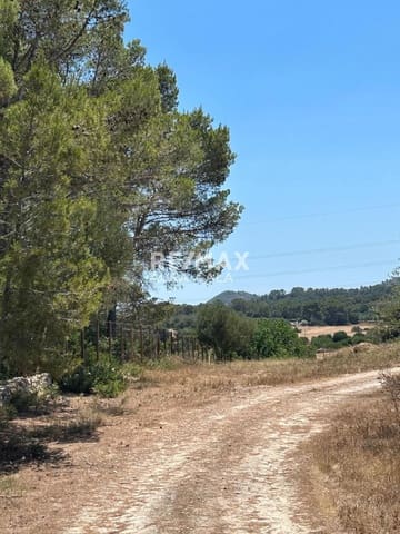 Byggegrund til salg i Manacor - € 220.000 (Ref: 9961199)