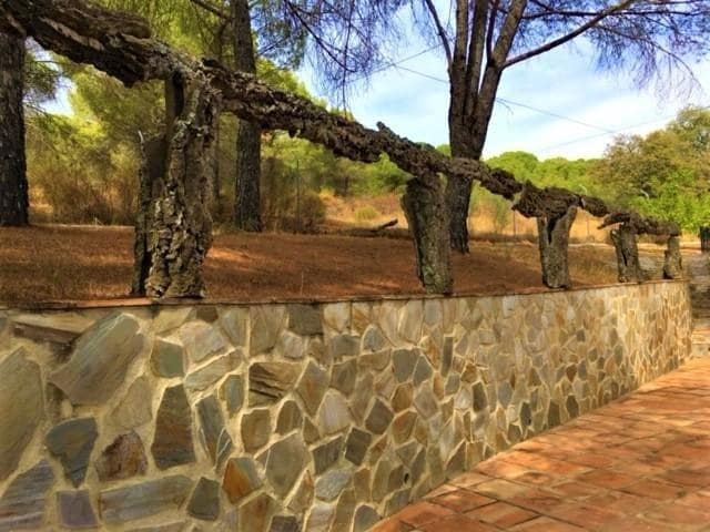 7 bedroom Finca/Country House for sale in Villaviciosa de Cordoba - € 490,000 (Ref: 10019286)