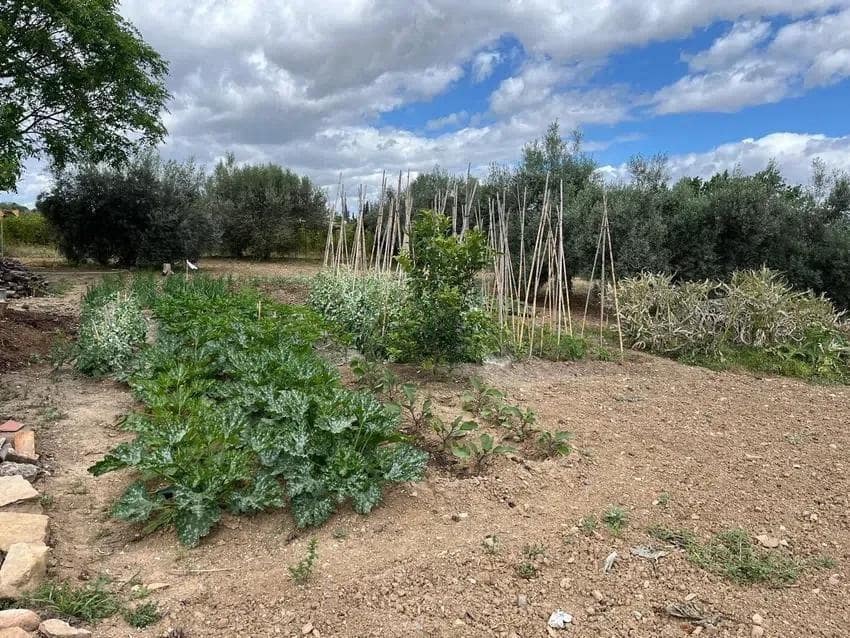 Finca/Casa Rural de 4 habitaciones en Málaga ciudad en venta - 458.000 € (Ref: 10019316)